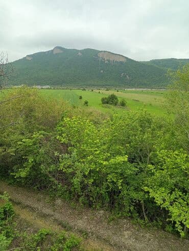 123 sot, Kənd təsərrüfatı