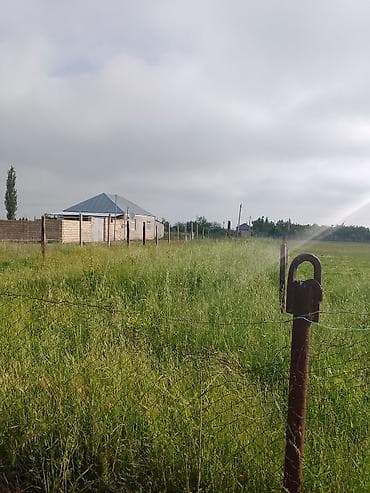 seki torpaq: 5 sot, Tikinti, Mülkiyyətçi, Kupça (Çıxarış) — 4