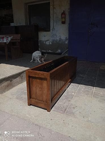 Dibçək güldanlar Dipçəklər bir başa sexdən.Sex qiymətinə. ♦️Endrim2025