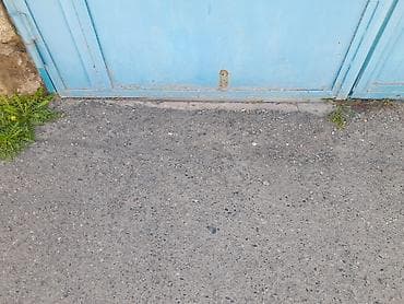 demir qapi darvaza: Dəmir Həyət darvazası, Mexaniki, Qapı ilə, rəng - Mavi — 5