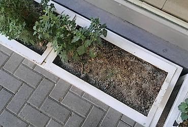 2əd Uzunluğu 296 Eni 33 Hündürlüyü-36 1əd Uzunluğu 240 Eni 33 lalafo.az -da 2əd Uzunluğu 296 Eni 33 Hündürlüyü-36 1əd Uzunluğu 240 Eni 33