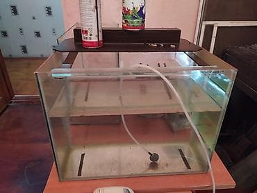 Akvarium satılır 2 ədəd 1 metr, 2 ədəd 50 santım, 2 ədəd 40 santım