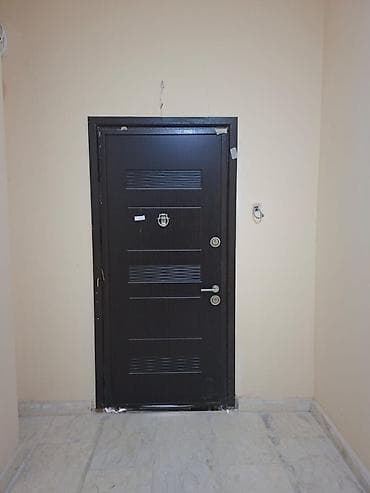 Seyf qapi 215/100sm 250azn Elmler 0005 leli Dəmir giriş qapısı -