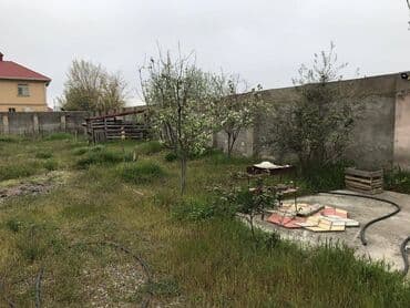 dübəndi torpaq: 12 sot, Tikinti, Makler, Kupça (Çıxarış) — 8