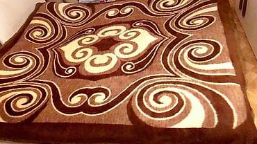 Otaq bitkiləri: Yeni Böyüklər üçün Bir yarım Qış üçün Pastel dəsti, Ünvandan götürmə — 2