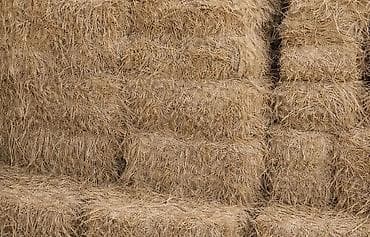 ağdaş yemi: Məhsul: Preslənmiş saman bağlamaları Təsvir: - Kənd təsərrüfatı və — 3