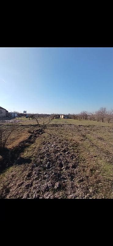 Torpaq sahələrinin satışı: 100 sot, Kənd təsərrüfatı — 3