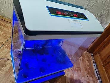 kənd colpası satışı: Boş, 45 l, Ödənişli çatdırılma — 3