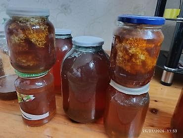 Tam təbii bal Dağ və meşə balı var Şəki balıdır Şabalıd cökə