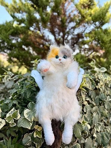 oyunca: Məhsul: Realistik pişik peluş oyuncaqları - Növlər: 3 fərqli rəng — 2