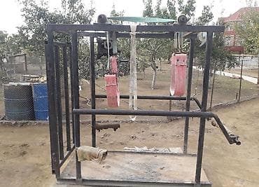 Quşlar: Heyvan dırnağı üçün stanok - Böyükbaş heyvanların (inək, camış və s.) — 2