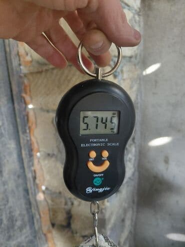 dovsan balasi: Salam təmiz qan sağlam Kalfornya və Burqun dovşan balaları satılır — 7