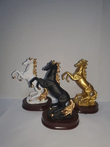 at sekilleri cekmek: Fiqur, Rezin — 12