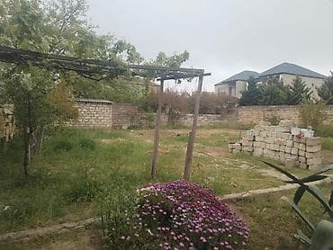 3 sot, Tikinti, Mülkiyyətçi, Kupça (Çıxarış)
