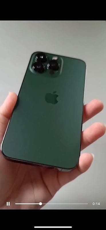 pro 5: IPhone 13 Pro, Alpine Green — 4