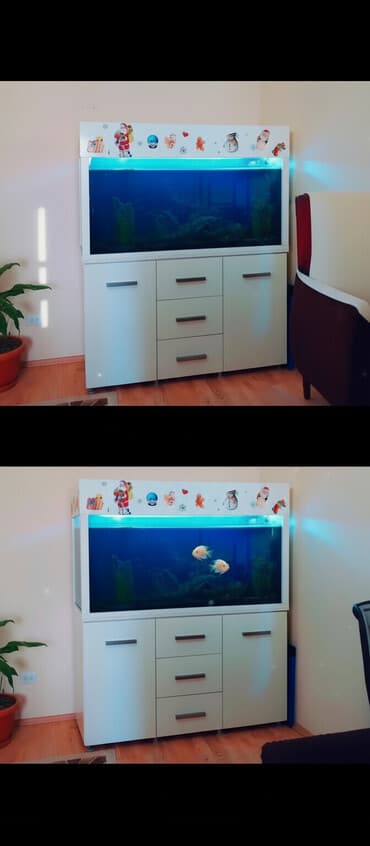 сколько стоит аквариум: Аквариум-шкаф, Вместе с рыбами, 600 л, Самовывоз — 1