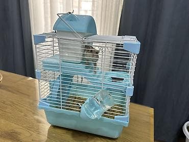 Heyvanlar üçün mallar: Hamster üçün iki mərtəbəli qəfəs – mavi/ağ Icinde bir eded hemster — 1