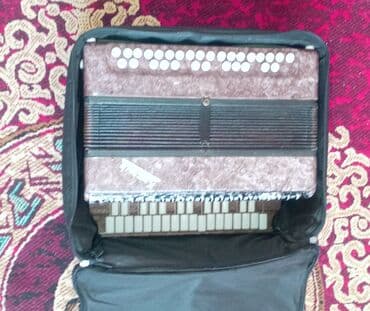 нитритная соль купить в бишкеке: Saz vəziyətdə di hec bir problemi yoxdu cantasi ilə satilir — 3