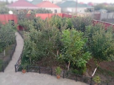 çıxarış nədir: 260 kv. m, 11 otaq — 9