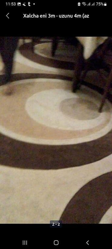 Монеты: Xalça – 3 m en, 4 m uzun - Ölçü: 3x4 metr (12 m²) - Rəng palitrası — 2