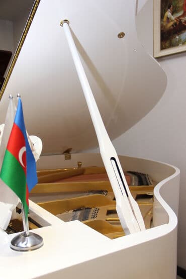 yamaha piano qiymeti: Royal Musiqi Aletleri salonu sizlere genish secim,muxtelif — 1