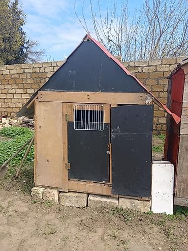 Taxta və metal dam örtüklü quşxana/saxlama daxması - Korpus: qalın