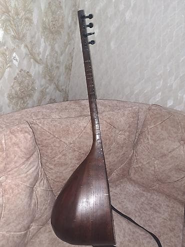 Velosipedlər: Saz 25 ilden artiqdir mendedi canaq tut agaci qolu qoz agacdir saz — 1