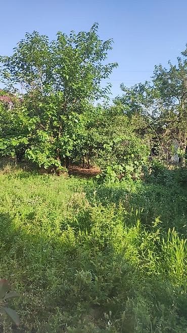 ayliq bag evleri: Bağ evi – geniş həyət və rahat daxili planlama - Yaşayış sahəsi — 7