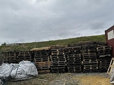 güldan şəkilləri: Sağlam paletdisadece rəngi qaralib deye 1 manatdi110 paletdi əlavə — 2