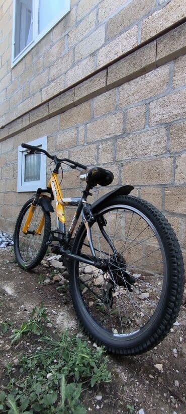 velosiped təkərləri: Yeni Dağ velosipedi Stels, 24", sürətlərin sayı: 7 — 1