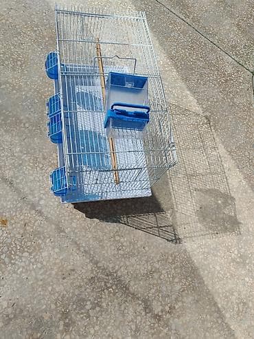 Heyvanlar üçün mallar: Qəfəs - bülbül və amadin üçün, təzə kimidi, 1 dəfə istifadə olunub — 2