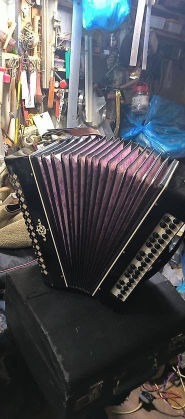 akkardeon: Akustik Akkordeon, Yeni — 7