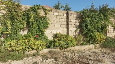 obyekt ucun torpaq: 15 sot, Mülkiyyətçi — 2