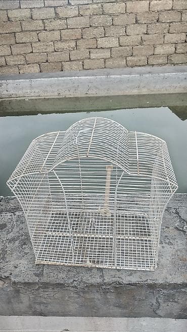 korella quşu: Ağ metal quş qəfəsi - Material: toz boya ilə örtülmüş metal tor - — 2