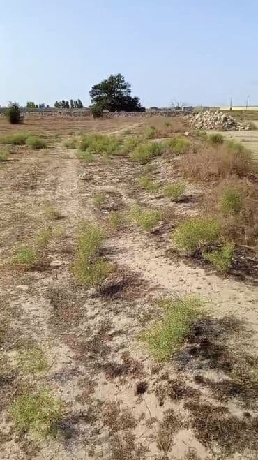 elite: 44 sot, Tikinti, Mülkiyyətçi, Bələdiyyə — 6