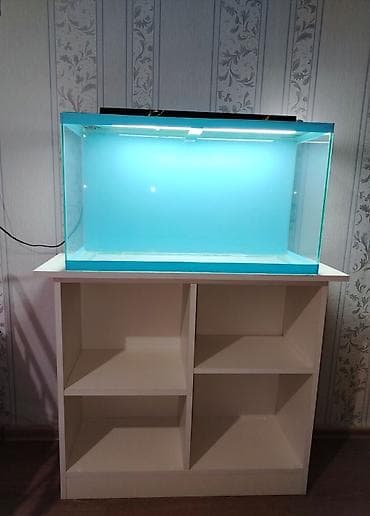 avcarka satisi: Dördbucaq akvarium, Boş, 70 l — 2