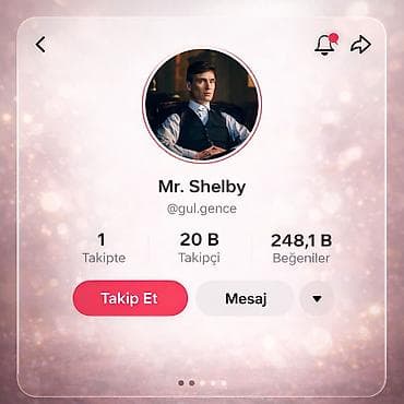 Tikinti və təmir: Sosial media hesabı – TikTok profili Profil adı: Mr. Shelby — 1