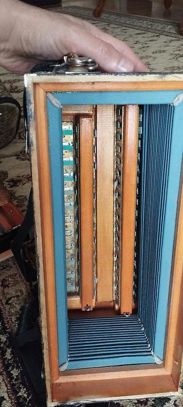 saz aletleri: Akustik Akkordeon — 2