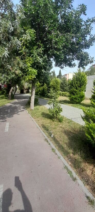 orbita mtk ev satilir: Bakı, 8-ci kilometr, 2 otaqlı, Köhnə tikili, m. Qara Qarayev, 42 kv. m — 15