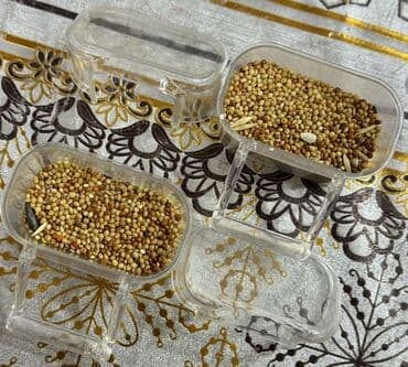 taxta qəfəs: Quşlar üçün nəzərdə tutulmuş qırmızı rəngli qəfəs. Qəfəsin içərisində — 5