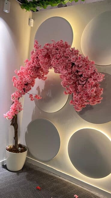 dekarativ guller: 🌸 İstədiyiniz dibçəyi, istədiyiniz ölçüdə yığırıq! 🏡 Evlər, ofislər — 26