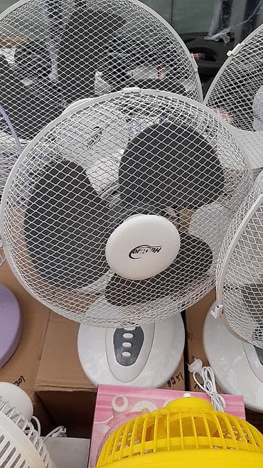 Ventilyator Yeni, Masaüstü, Pərli, Kredit yoxdur, Rayonlara çatdırılma, Pulsuz çatdırılma, Ödənişli çatdırılma