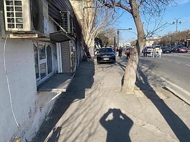 Babək prospekti, düz prospektin kənarında obyekt icarəyə verilir. Uzun