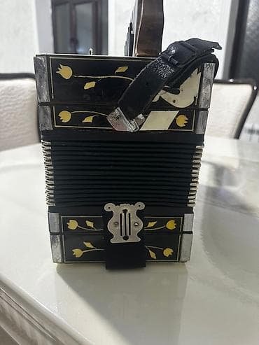 akkardeon: Akustik Akkordeon — 7