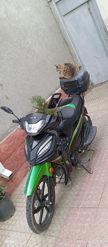 şirvan mapet: RKS 50 sm3, 15000 km — 7