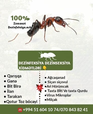 en yaxsi xalca yuma hansi: Dezinfeksiya, dezinseksiya | Taxtabiti, Birələr, Tarakanlar | Nəqliyyat, Ofislər, Mənzillər — 10