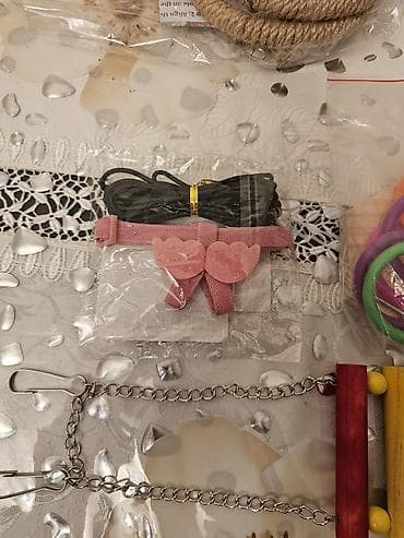 Yuvalar: Nimfa (cockatiel) cütü və tam avadanlıqlı qəfəs dəsti. Biri erkek biri — 5