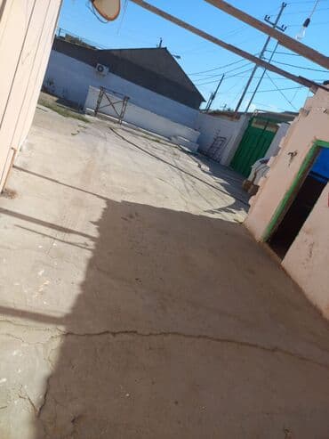 Həyət evi alıram: Həyətyanı ev – geniş sahəli, meyvə bağı və tam infrastrukturlu - — 3