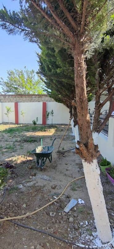 lənd kuruzer ucun led işıq lupası hardan tapmaq olar: 7 otaqlı, 300 kv. m, Yeni təmirli — 28