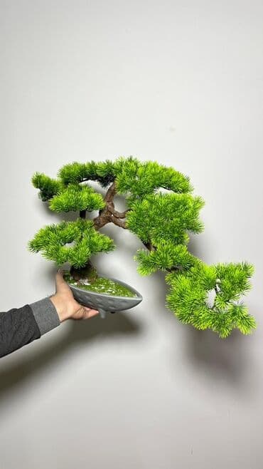 budda: Süni bonsai ağacı – dekorativ içməkan yaşıllaşdırma üçün - Realistik — 17